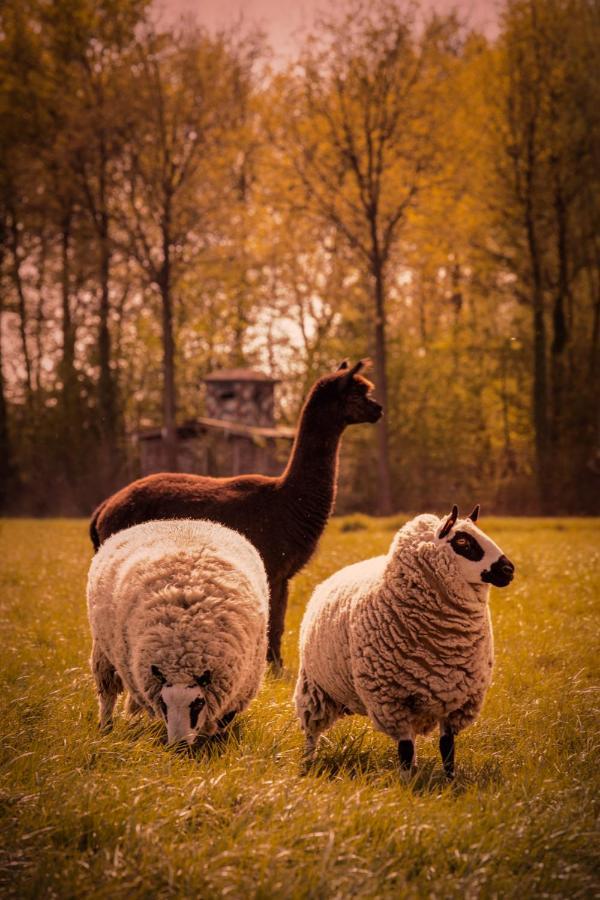 Вилла De Betze - Country Life Geetbets Экстерьер фото